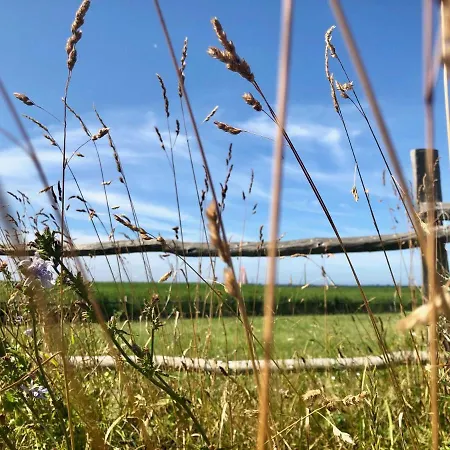 Lägenhet An Den Boddenwiesen Ii